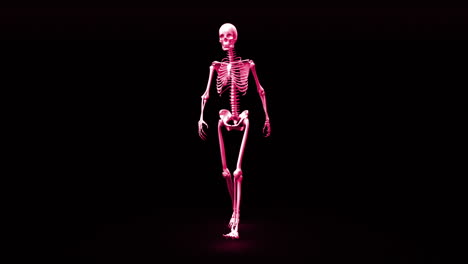 -Drehbares-Skelett-Erscheint-Und-Wird-Vollständig-Geformter-Mensch