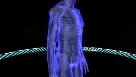 Virtueller-Menschlicher-Körperscan