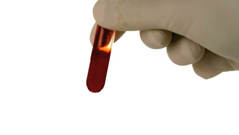 Gloved-hand-shaking-test-tube-of-blood-on-white-background