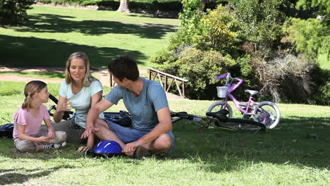 Family-discussing-while-sitting-in-a-park-