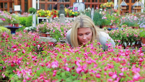 Customer-smelling-at-flowers