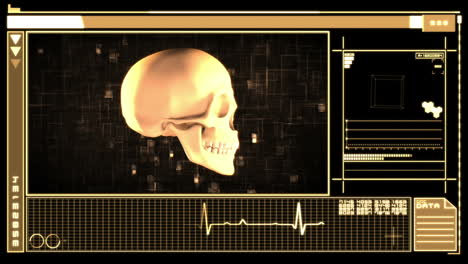 Interfaz-Digital-Que-Muestra-El-Cráneo