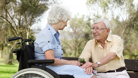 Old-couple-talking-sitting-with-flower