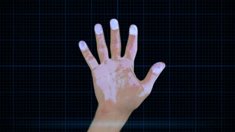Montage-of-hand-scanner