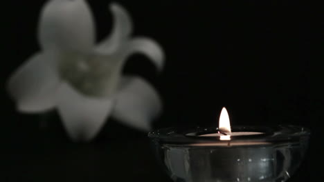 Candle-blowing-out-beside-white-lily