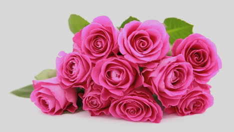 Fokus-Auf-Rosa-Rosen-Als-Geschenk