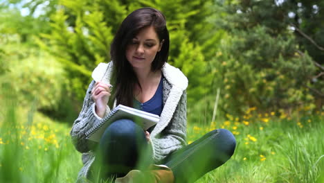 Mujer-Sentada-Sobre-El-Césped-Escribiendo-En-Un-Cuaderno