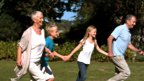 Grandchildren-and-grandparents-running-hand-in-hand-in-a-park