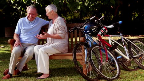 Älteres-Paar-Im-Gespräch-Zusammen-In-Einem-Park-Neben-Mountainbikes