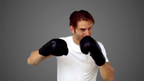 Sportsman-boxing-in-front-of-the-camera-on-grey-background