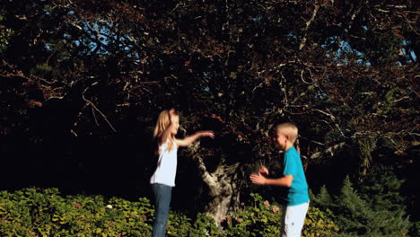 Cheerful-siblings-having-fun-on-a-trampoline