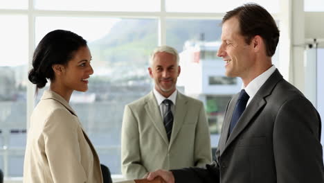 Business-people-shaking-hands-in-office