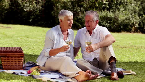 älteres-Ehepaar-Trinkt-Weißwein-Beim-Picknick