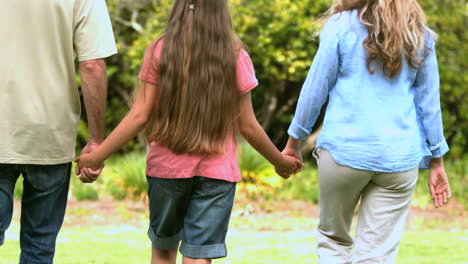 Cute-family-walking-and-holding-hands