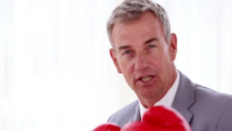 Businessman-boxing-with-red-gloves