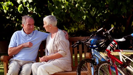 Älteres-Paar-Im-Gespräch-Zusammen-In-Einem-Park