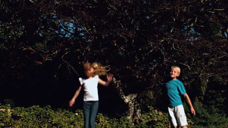 Bruder-Und-Schwester-Springen-Auf-Einem-Trampolin