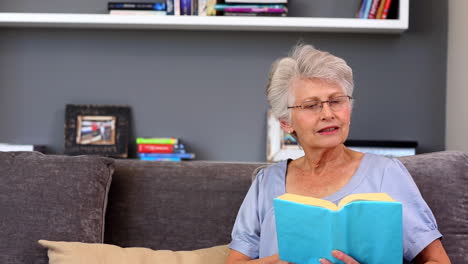 Elderly-woman-reading-book