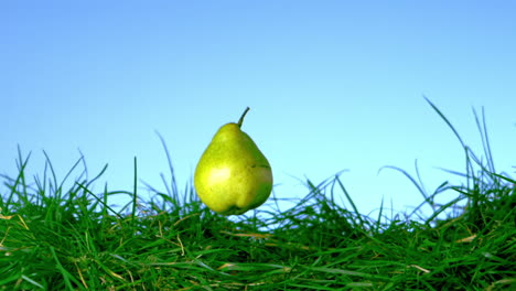 Pear-falling-in-the-grass-on-blue-background