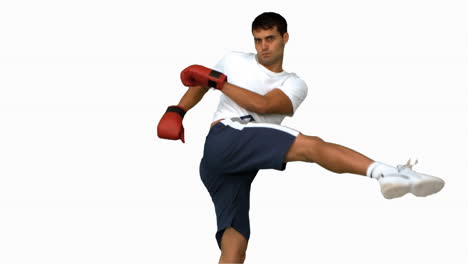 Boxer-performing-an-air-kick-on-white-screen