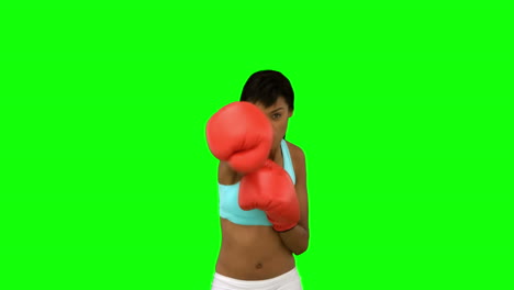 Attractive-model-with-red-gloves-boxing