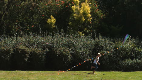 Geschwister-Haben-Spaß-In-Einem-Park-Mit-Einem-Drachen