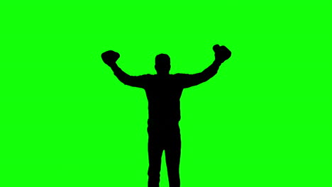 Silhouette-of-man-jumping-and-boxing-on-green-screen