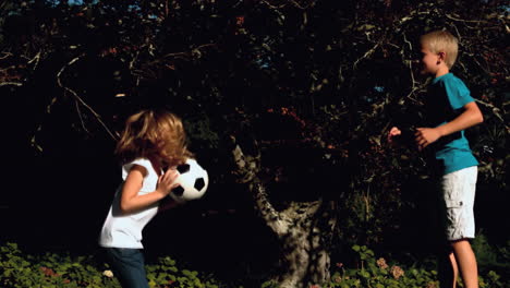 Fröhliche-Geschwister-Haben-Spaß-Mit-Einem-Fußball-Auf-Einem-Trampolin