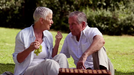 Elderly-couple-eating-grapes-at-a-picnic