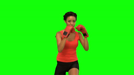 Woman-boxing-on-green-screen