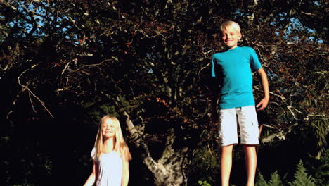 Brother-and-sister-bouncing-on-a-trampoline