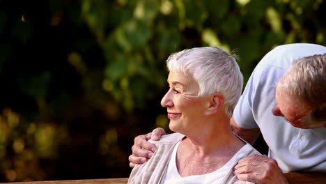 Pareja-De-Ancianos-En-Un-Banco-Del-Parque-