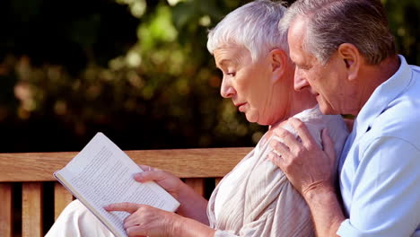 Pareja-De-Ancianos-Leyendo-Un-Libro