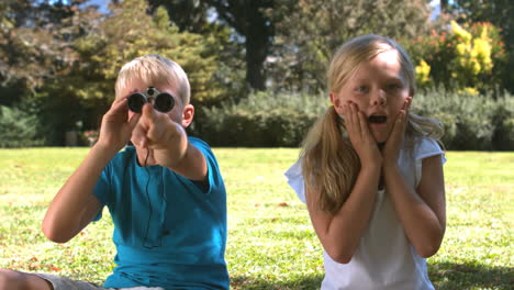 Brother-with-binoculars-showing-something-to-his-sister