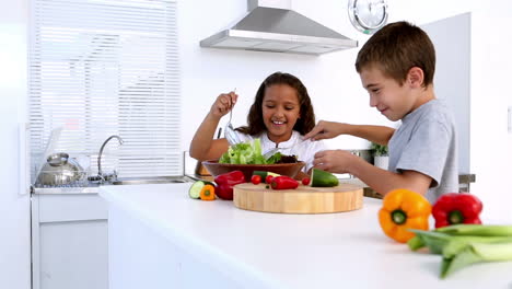 Hermanos-Preparando-Ensalada-Juntos