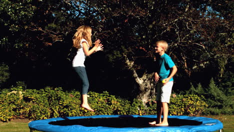 Cheerful-siblings-having-fun-with-a-ball-on-a-trampoline