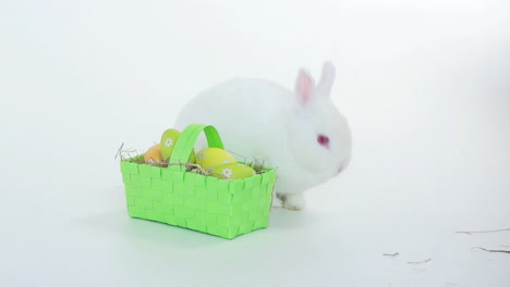 Conejito-Con-Cesta-De-Mimbre-De-Huevos-De-Pascua