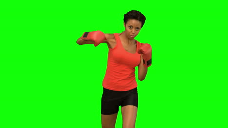 Attraktive-Frau-Boxen-Auf-Greenscreen