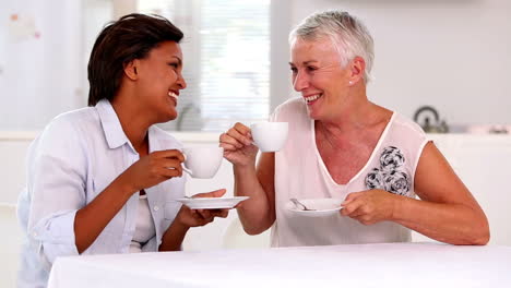 Pensionierte-Frauen-Die-Zusammen-Plaudern-Und-Lachen