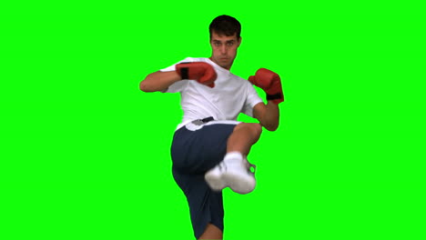 Boxer-performing-a-high-kick-on-green-screen