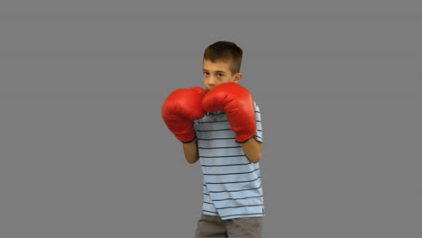 Little-boy-with-boxing-gloves-boxing-on-grey-screen