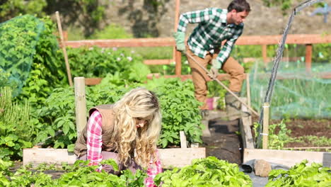 Pareja-Joven-Trabajando-Juntos-En-El-Jardín