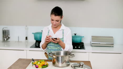 Schöne-Brünette-Schickt-Eine-SMS-Während-Sie-Das-Abendessen-Zubereitet