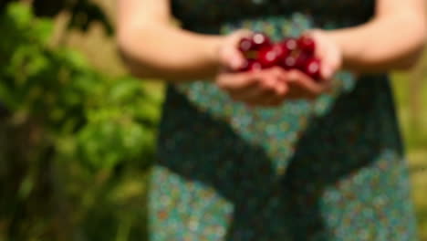 Close-up-on-woman-walking-to-camera-holding-cherries