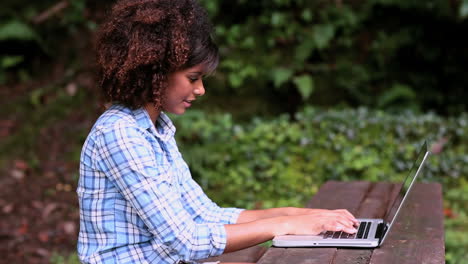 Gorgeous-content-brunette-sitting-at-picnic-table-using-laptop