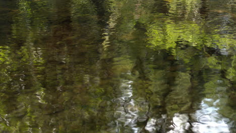 Reflection-of-lagoon