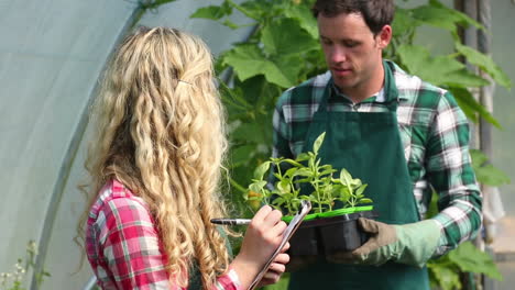 Young-gardener-showing-plants-to-buyer