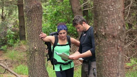 Pareja-En-Forma-Explorando-Una-Zona-Boscosa-Leyendo-Un-Mapa