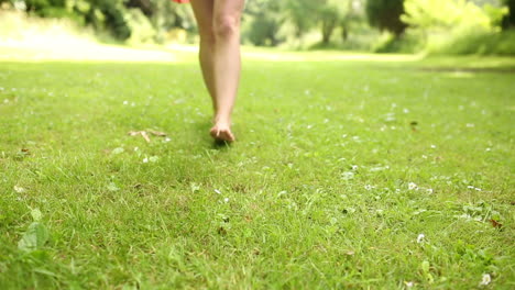 Piernas-Femeninas-Sobre-La-Hierba-Caminando-Hacia-La-Cámara