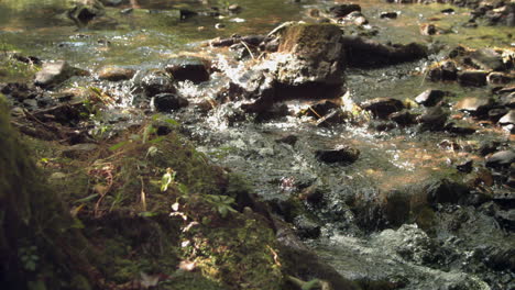 Video-of-watercourse-in-nature